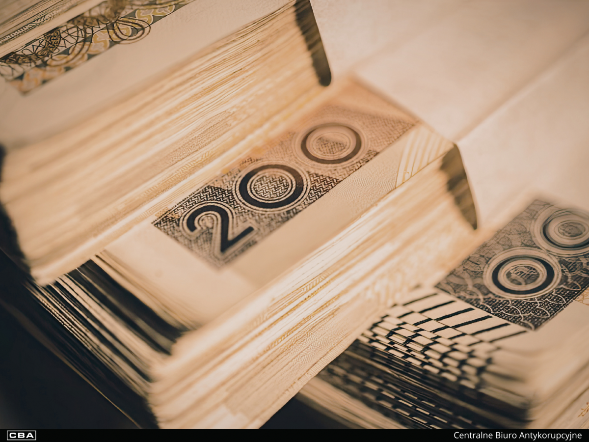 Siedmiu zatrzymanych w wielowątkowym śledztwie