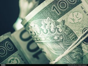 A close-up of polish banknotes.