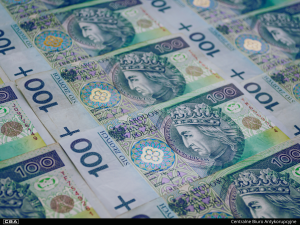 A close-up of polish banknotes.