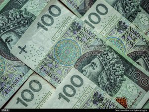 A close-up of polish banknotes.